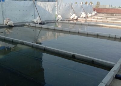 Waterproofing & Injection Rooftop Swiss-Belhotel Cirebon